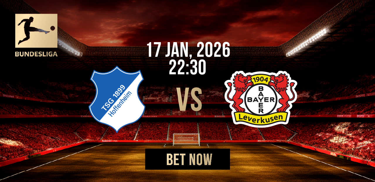 hoffenheim vs bayer leverkusen