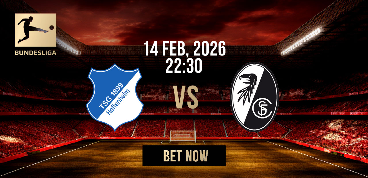 hoffenheim vs freiburg