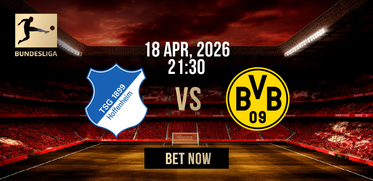 hoffenheim vs borussia dortmund
